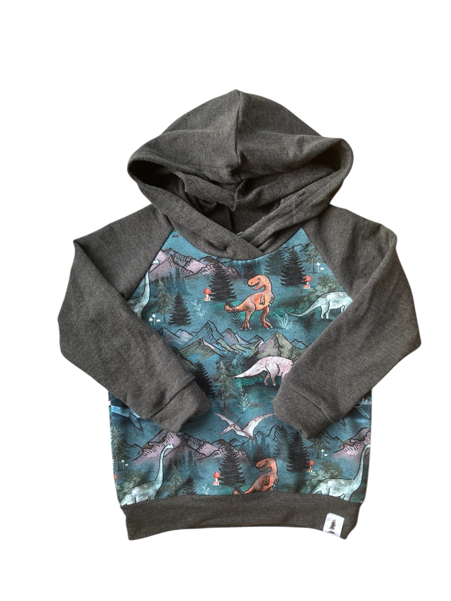 Charcoal Dino Hoodie